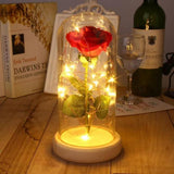 Enchanted Rose Lamp w/USB