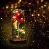 Enchanted Rose Lamp w/USB